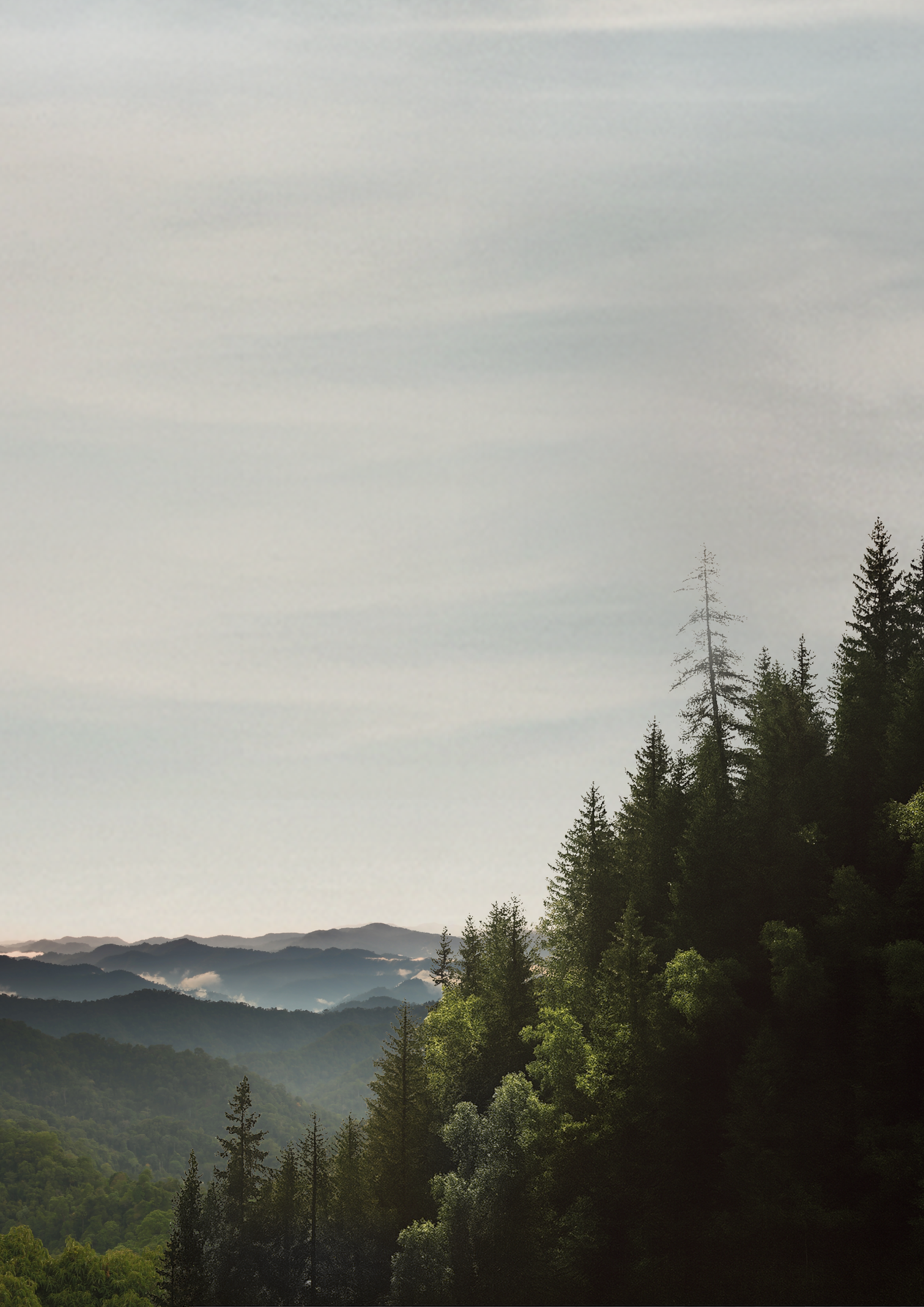 Publication thumbnail