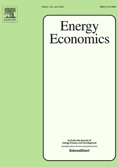 Closing the Efficiency Gap: Insights into curbing the direct rebound effect of residential electricity consumption in Saudi Arabia