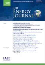 Energy Transition in Oil-Dependent Economies: Public Discount Rates for Investment Project Evaluation (3)