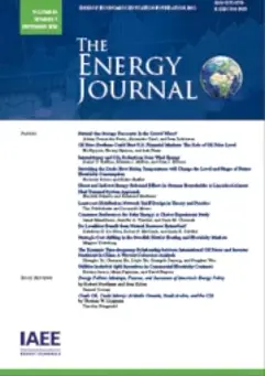 Energy Transition in Oil-Dependent Economies: Public Discount Rates for Investment Project Evaluation (3)