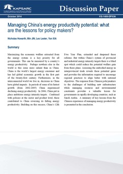 Managing China&amp;#8217;s energy productivity potential: what lessons for policy makers (1)