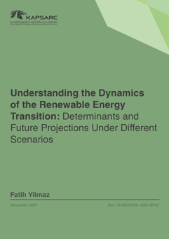 Understanding the Dynamics of the Renewable Energy Transition: The Determinants and Future Projections Under Different Scenarios (1)