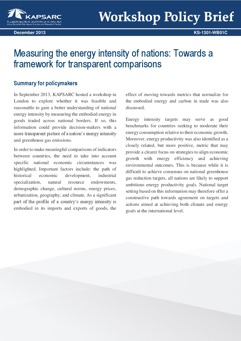 Measuring the energy intensity of nations: Towards a framework for transparent comparisons (1)