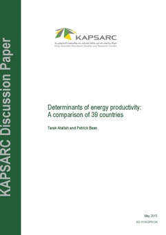 Determinants of energy productivity: A comparison of 39 countries (1)