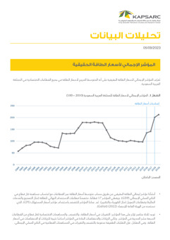 Aggregate Real Energy Price Index (2)