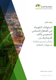 Residential Electricity Consumption and Rebound Effects in Saudi Arabia: Insights into Bridging the Energy Efficiency Gap (2)