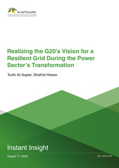 Realizing the G20’s Vision for a Resilient Grid During the Power Sector’s Transformation (1)