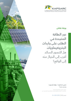 Understanding the Role of Renewable Energy in Import Demand for Petrochemicals Is the Prevailing Perception More Imagined Than Real? (2)