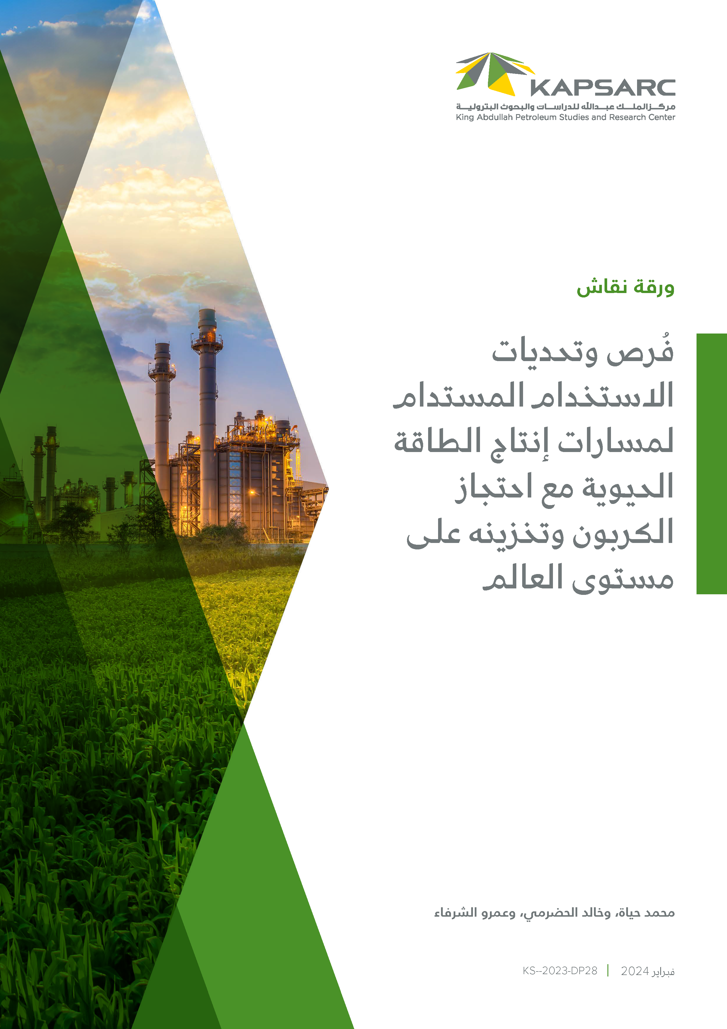 Challenges and Opportunities for Sustainable Deployment of Bioenergy with Carbon Capture and Storage Pathways (BECCS) Globally (2)