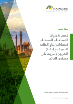 Challenges and Opportunities for Sustainable Deployment of Bioenergy with Carbon Capture and Storage Pathways (BECCS) Globally (2)