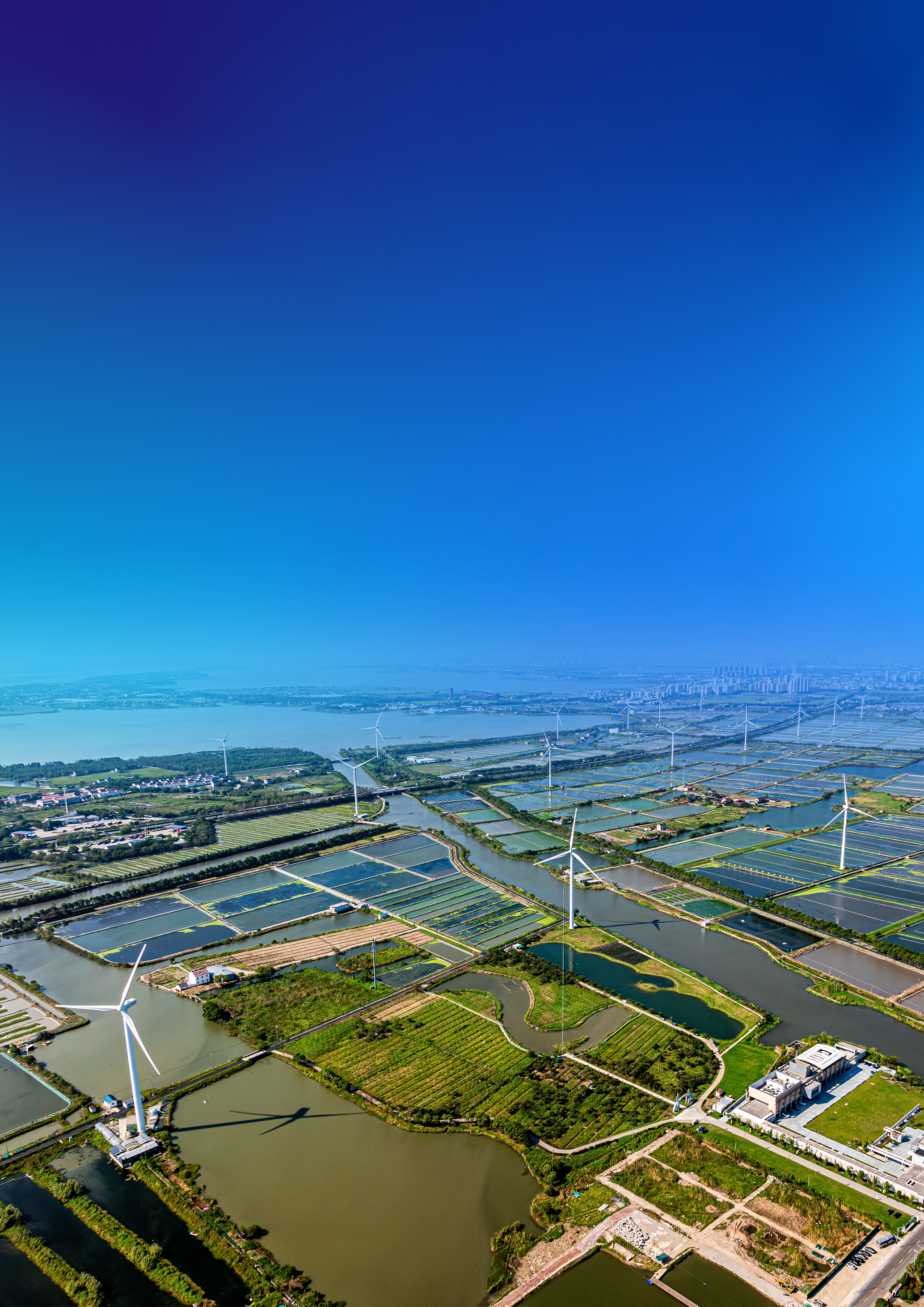 latest_publication_tile_img