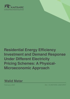 Residential Energy Efficiency Investment and Demand Response Under Different Electricity Pricing Schemes: A Physical- Microeconomic Approach (1)