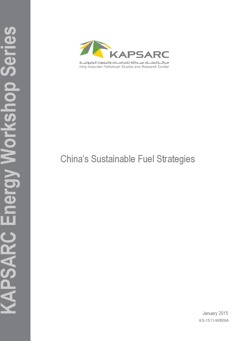 China&amp;#8217;s Sustainable Fuel Strategies (1)