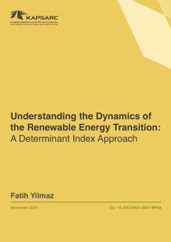 Understanding the Dynamics of the Renewable Energy Transition: A Determinant Index Approach (1)