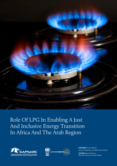 Role Of LPG In Enabling A Just And Inclusive Energy Transition In Africa And The Arab Region (1)