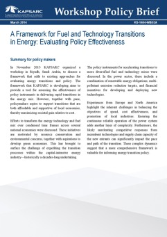A Framework for Fuel and Technology Transitions in Energy: Evaluating Policy Effectiveness (1)