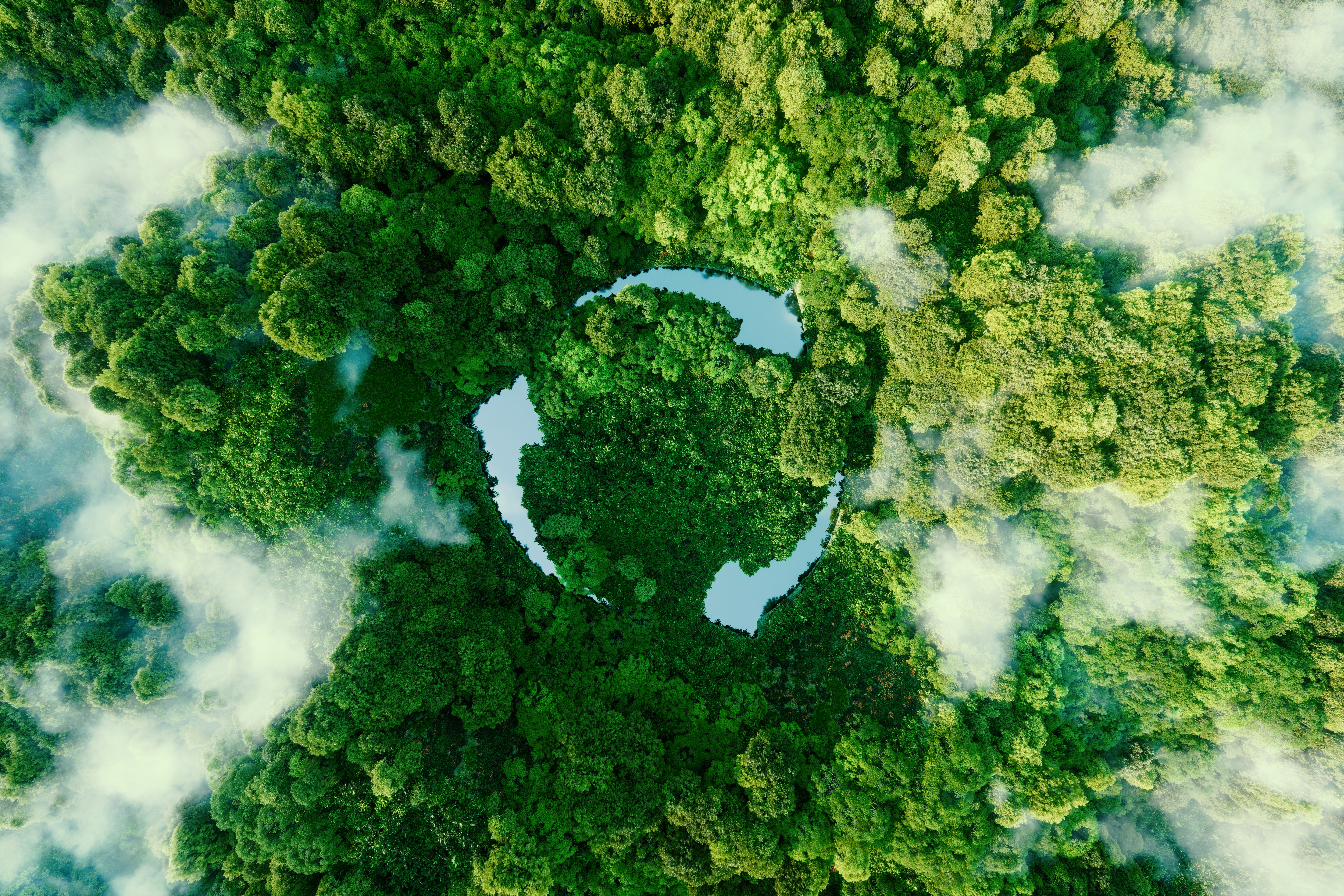 Co2 Image