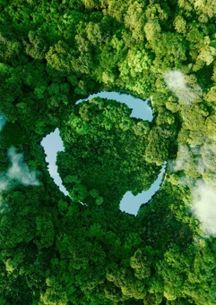 Co2 Image