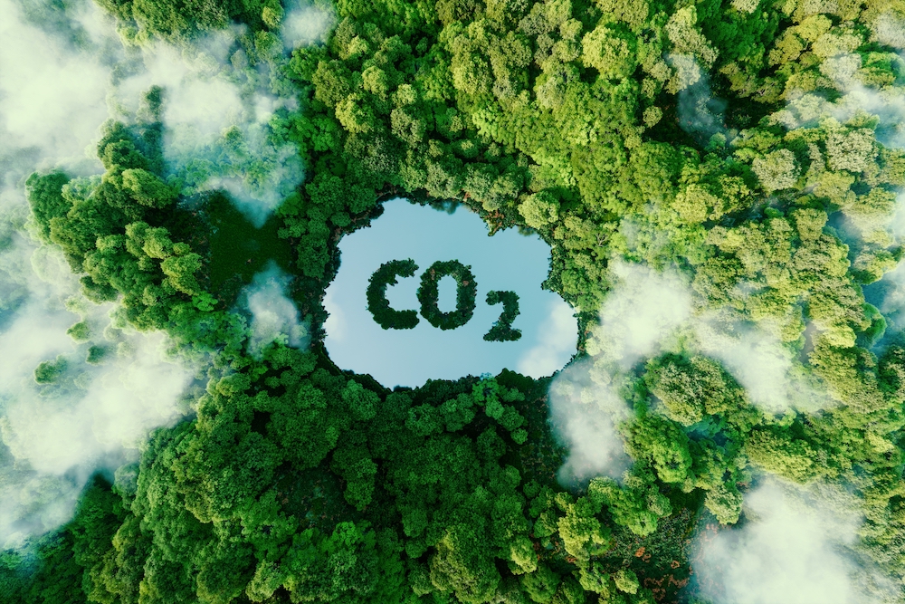 Carbon