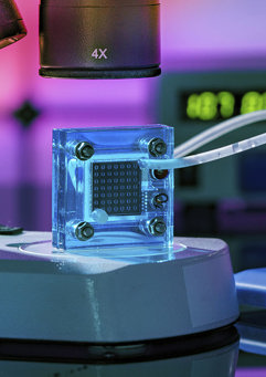 Gettyimages 1307404463 Web