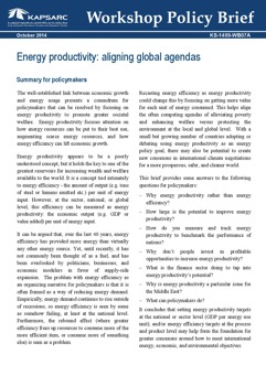 Energy productivity: aligning global agendas (1)