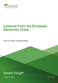 Lessons From the European Electricity Crisis (1)