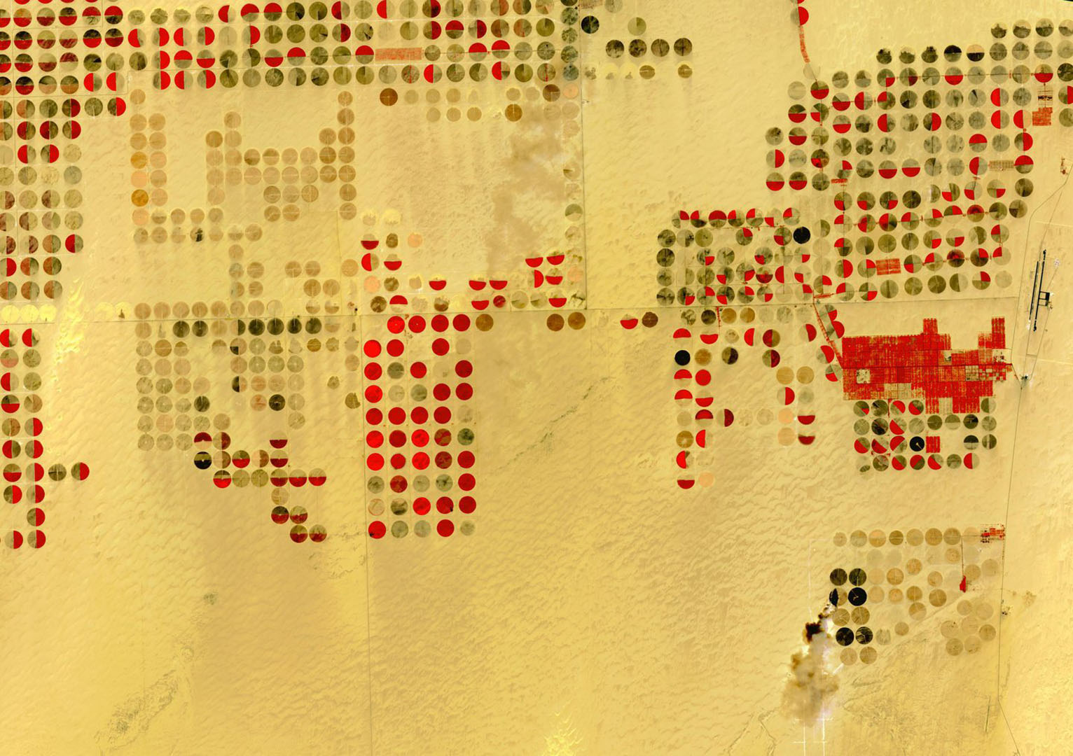 Publication thumbnail