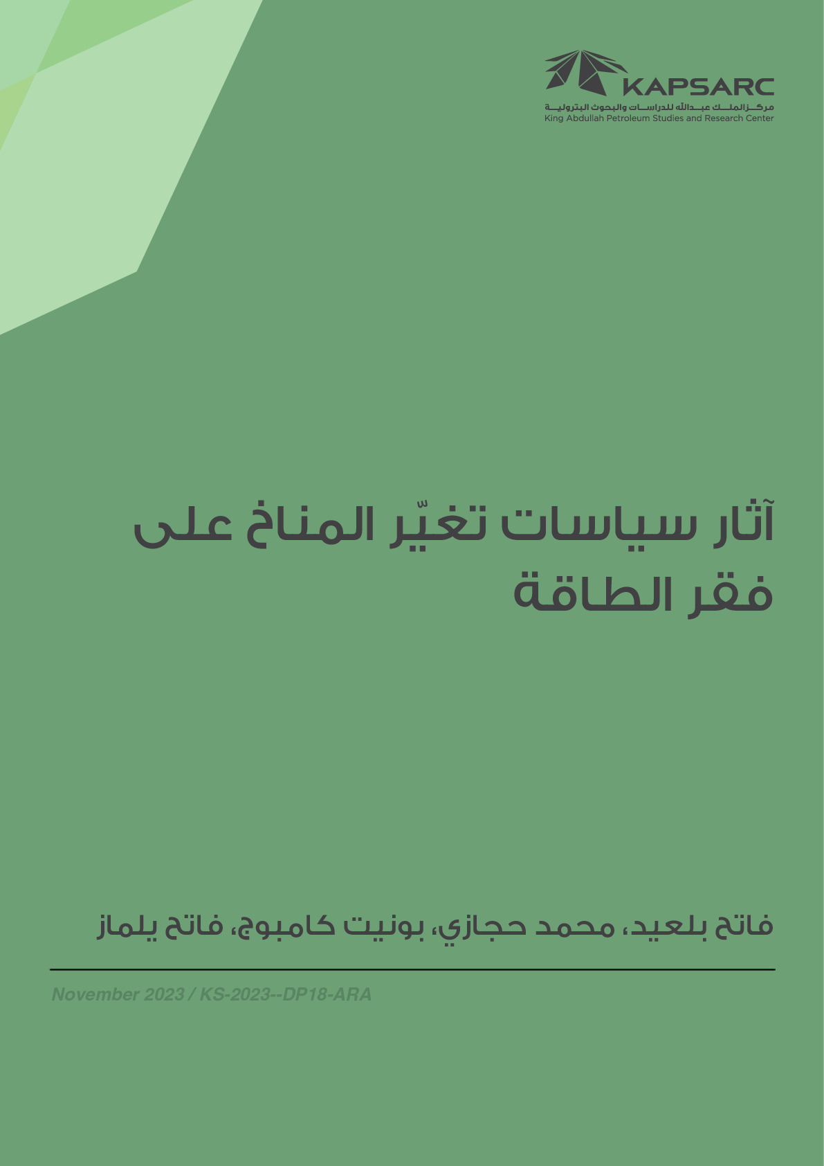 Implications of Climate Policy on Energy Poverty (2)