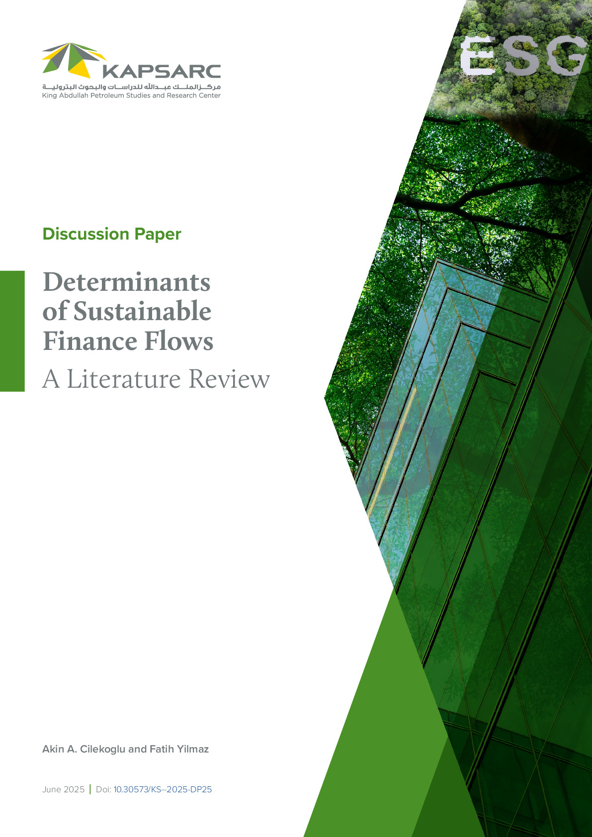 Determinants of Sustainable Finance Flows: A Literature Review (1)