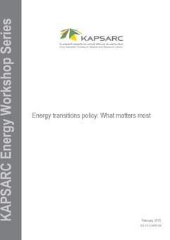 Energy transitions policy: What matters most (1)