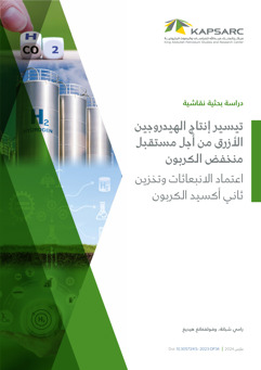 Enabling Blue Hydrogen for a Low- Carbon Future: Certifying Emissions and CO2 Storage (2)