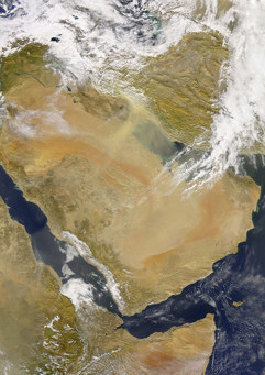 Gettyimages 112717645 Web