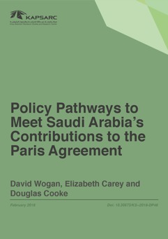 Policy Pathways to Meet Saudi Arabia&amp;#8217;s Contribution to the Paris Agreement (1)