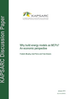 Why build energy models as MCPs? An economic perspective (1)