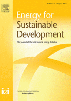 Net-zero Transport Dialogue: Emerging Developments and the Puzzles They Present