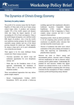 The Dynamics of China&amp;#8217;s Energy Economy (1)