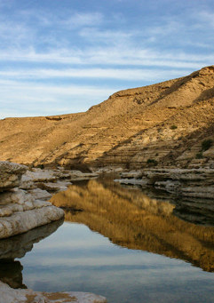 Gettyimages 985606052 Web