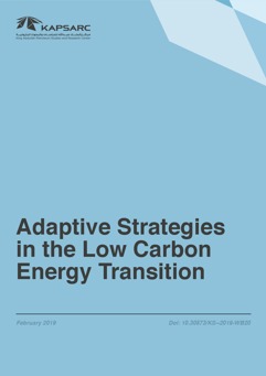 Adaptive Strategies in the Low Carbon Energy Transition (1)