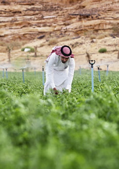 Gettyimages 1435253072 Web