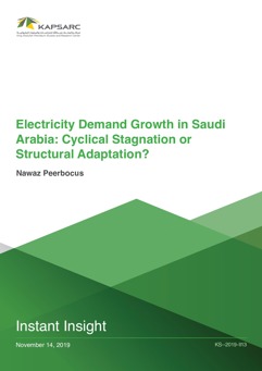 Electricity Demand Growth in Saudi Arabia: Cyclical Stagnation or Structural Adaptation? (1)