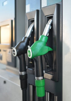 Shutterstock 2260798559