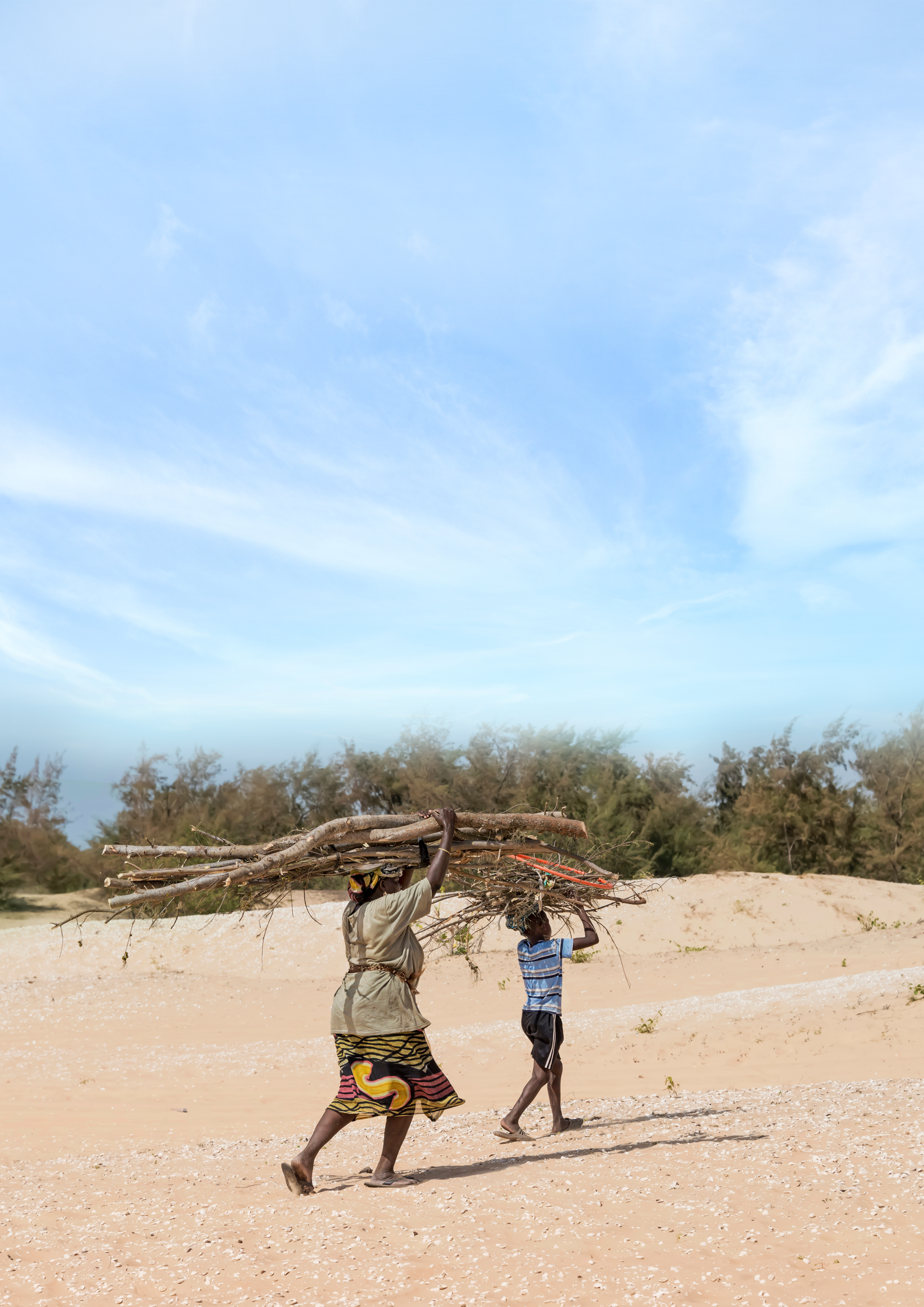 Publication thumbnail