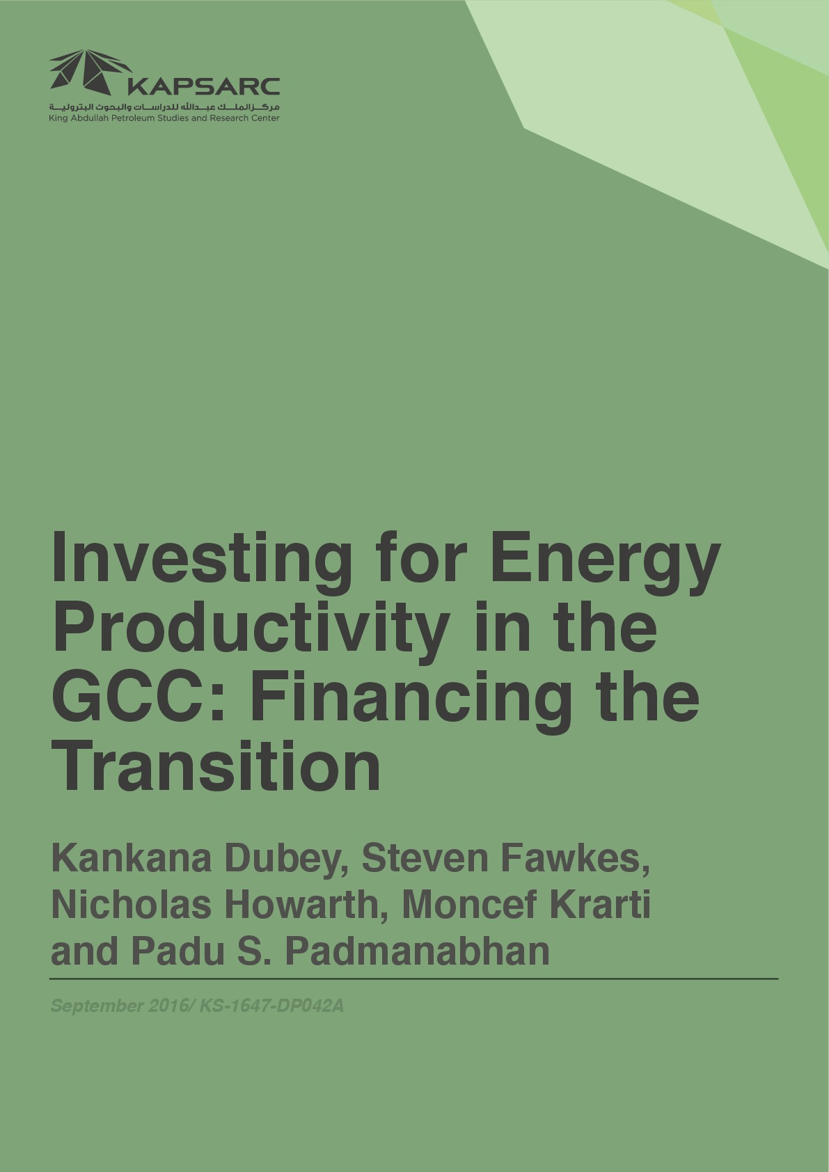 Investing for Energy Productivity in the GCC &#8211; Financing the Transition (1)
