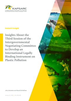 Insights About the Third Session of the Intergovernmental Negotiating Committee to Develop an International Legally Binding Instrument on Plastic Pollution (1)