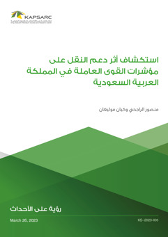 Exploring the Effect of a Transportation Subsidy on Saudi Arabia’s Main Labor Force Indicators (2)