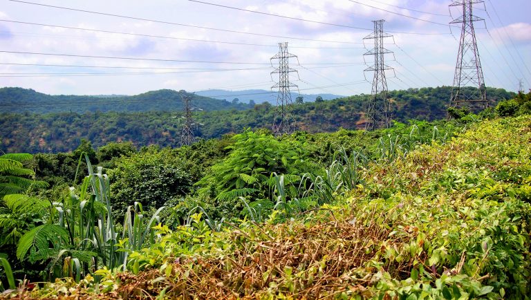 Implications of Local Content Policies in Developing East Africa’s Natural Resources
