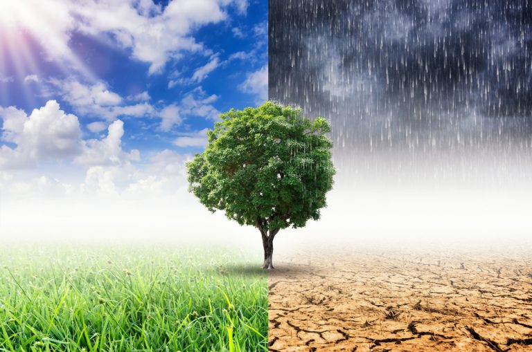 The Geopolitics of Implementing the Paris Agreement