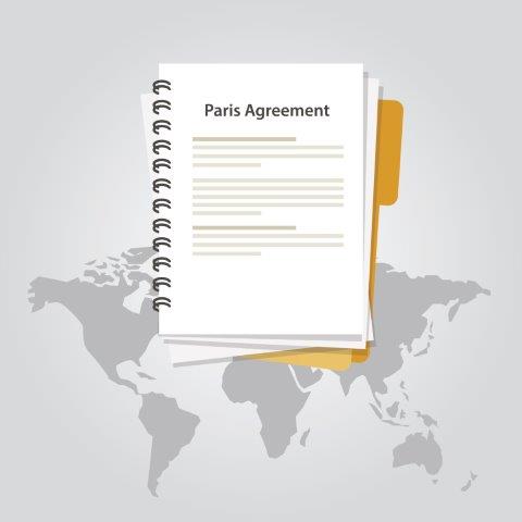 Political Feasibility of Nationally Determined Contributions Under the Paris Agreement