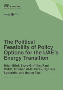 The Political Feasibility of Policy Options for the UAE’s Energy Transition