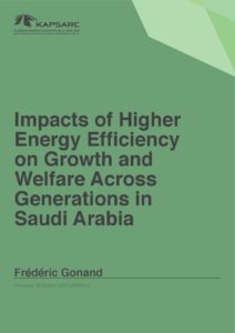 Impacts of Higher Energy Efficiency on Growth and Welfare Across Generations in Saudi Arabia